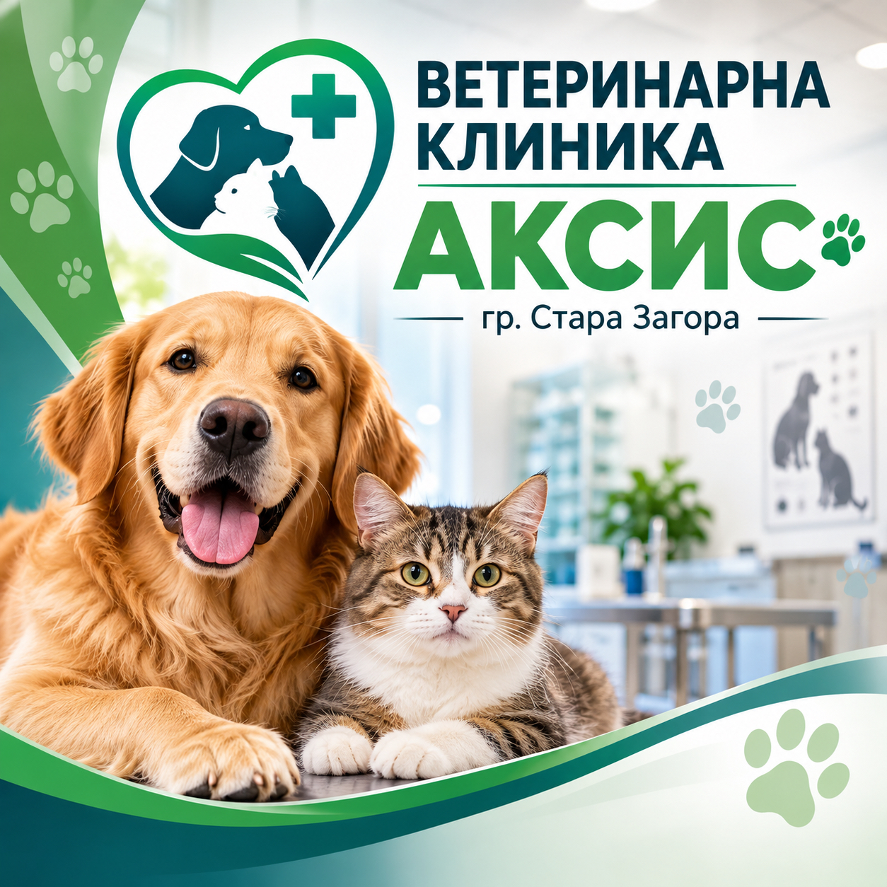 ВЕТЕРИНАРНА КЛИНИКА АКСИС гр. Стара Загора